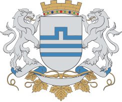 Grad Podgorica